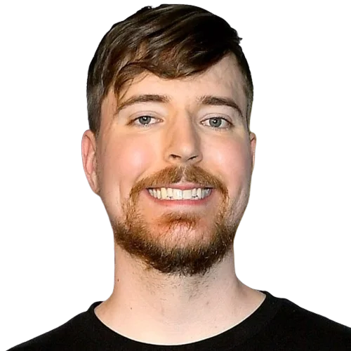 A picture of MrBeast.