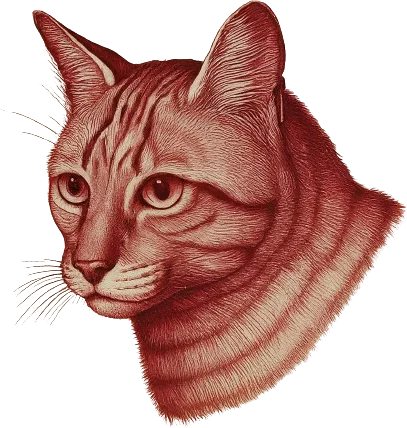 A drawing of a cat.
