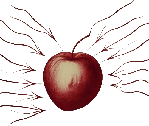 A drawing of an apple and arrows representing forces acting on it.